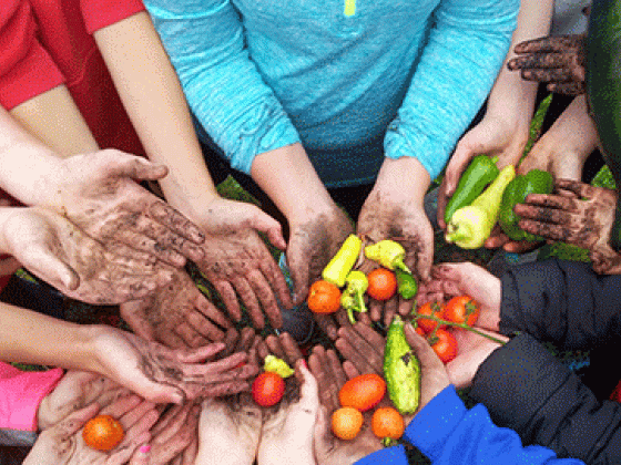 farm to school